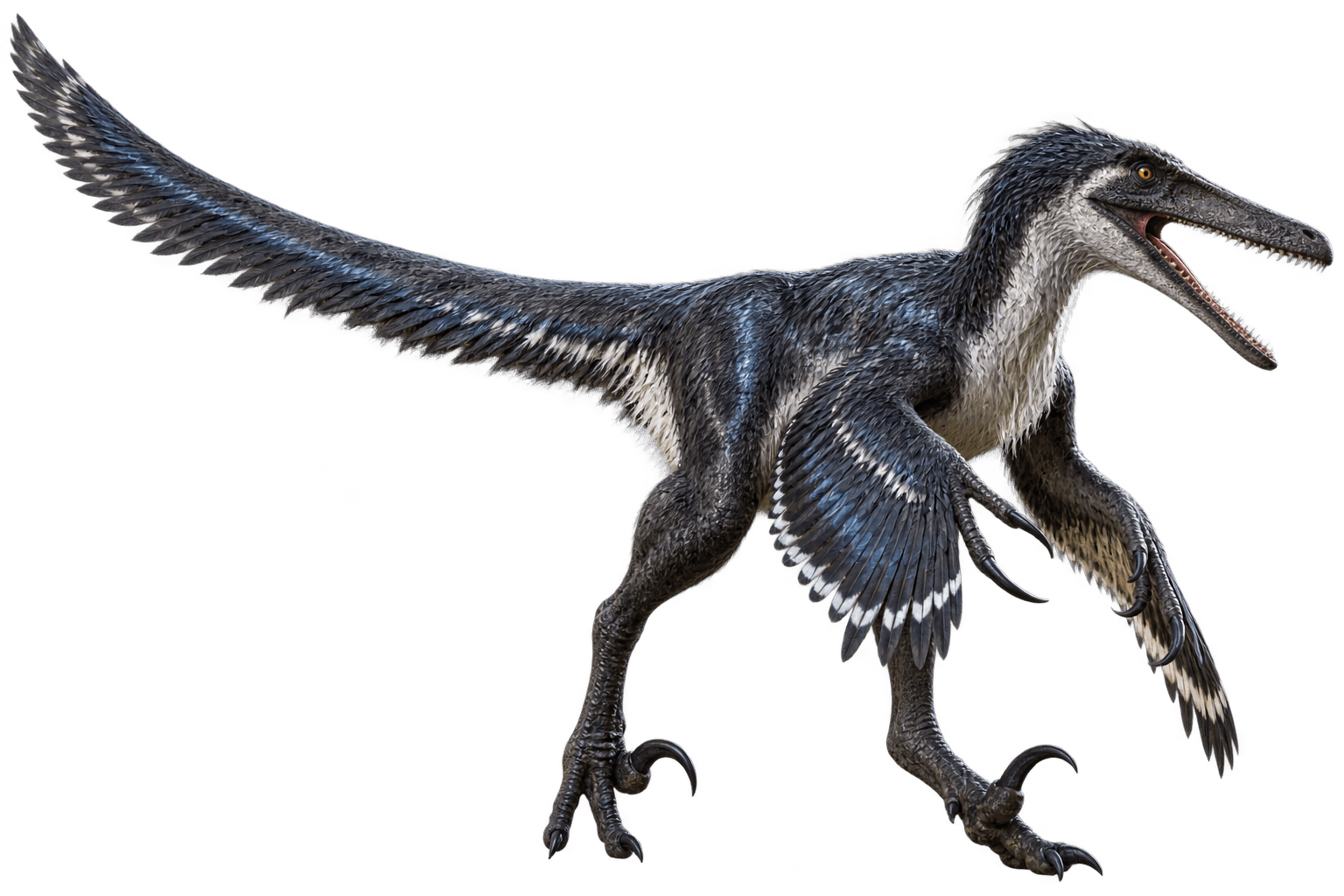 Austroraptor